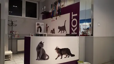 BAFIR – Specjalistyczna Przychodnia Weterynaryjna